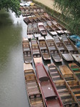 SX07750 Rain on boat hire in River Cherwell, Oxford.jpg